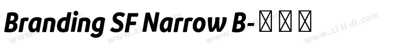 Branding SF Narrow B字体转换